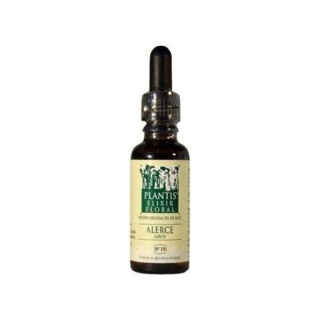 PLANTIS FLOR 19 LARCH ALERCE  10ML