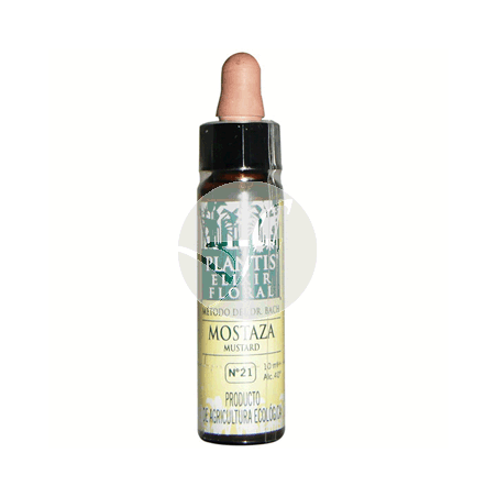 PLANTIS FLOR 21 MOSTAZA 10ML