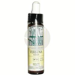 PLANTIS FLOR 31 VERBENA 10ML