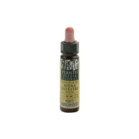 PLANTIS FLOR 36 WILD OAT 10ML