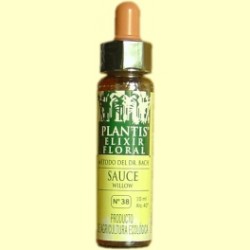 PLANTIS FLOR 38 WILLOW SAUCE   10ML