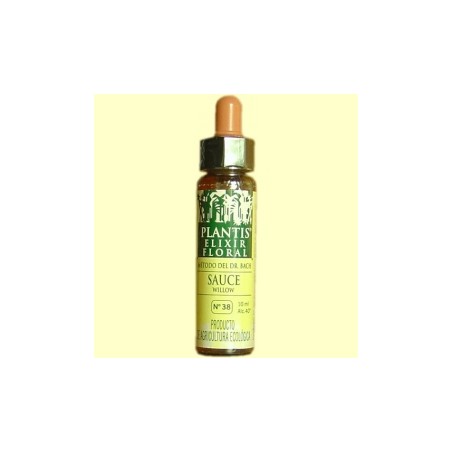 PLANTIS FLOR 38 WILLOW SAUCE   10ML