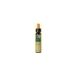 PLANTIS FLOR 4 CENTAUREA 10ML