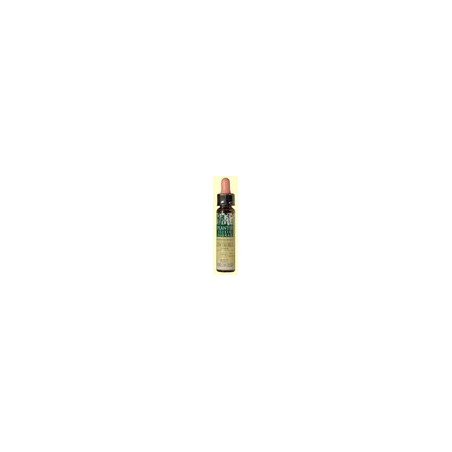 PLANTIS FLOR 4 CENTAUREA 10ML