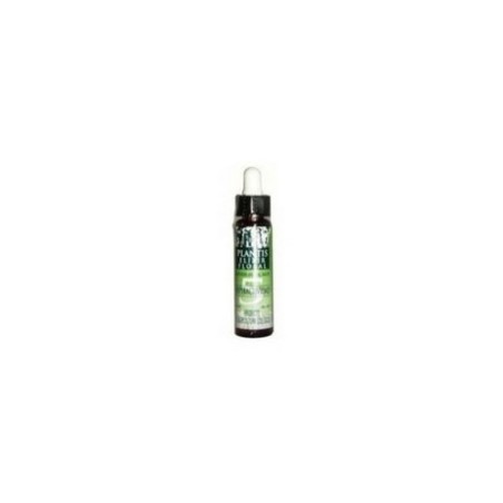 PLANTIS HIPERACTIVIDAD 5 10ML