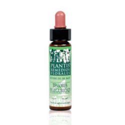 PLANTIS TEMOR INSEGURIDAD 4 10ML