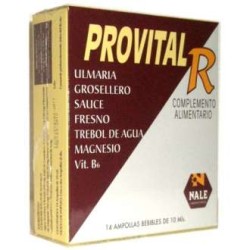 PROVITAL-R 14 AMPOLLAS NALE