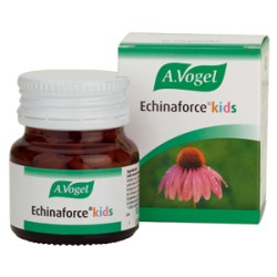 ECHINAFORCE KIDS 80COM VOGUEL
