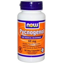 PYCNOGENOL 60MG 50CAPS NOW