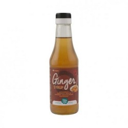 SIROPE JENGIBRE 250ML BIO TERRASANA