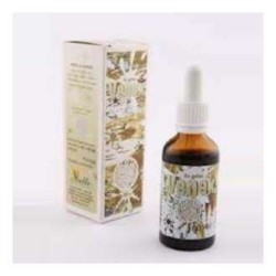 VENEX 60ML EL VALLE