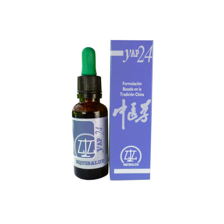 YAP 24
