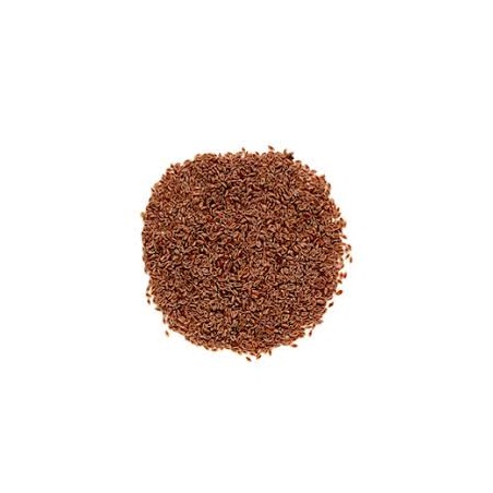 ZARAGATONA 500GR PINISAN