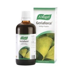 GINKGOFORTE 100ML VOGEL