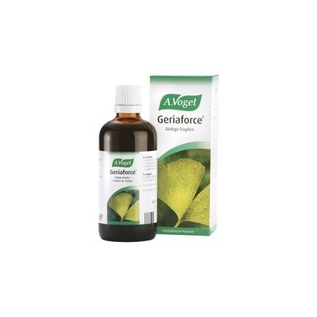 GINKGOFORTE 100ML VOGEL