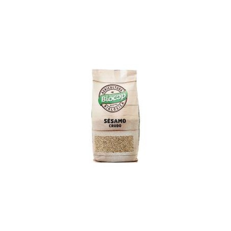 SESAMO CRUDO 250GR BIOCOP