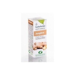 ESENCIA JENGIBRE 10ML INTERSA