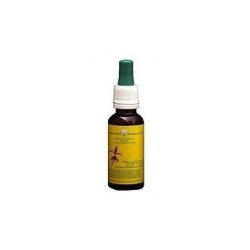 ESENCIA LAVANDA 20ml FLOR DEL MEDITERRANEO
