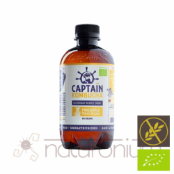 CAPITAN KOMBUCHA PIÑA 1lt