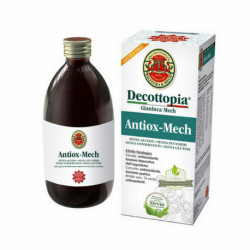 ANTIOX-MECH BOTELLA 500 ML