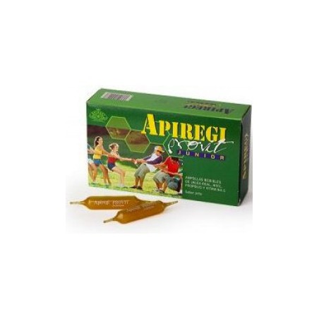 APIREGI PROVIT JUNIOR