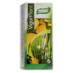 PROPOLFLOR FORTE (VIGOR PLANT) SANTIVERI 200ML