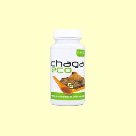 CHAGA ECO PLANTIS