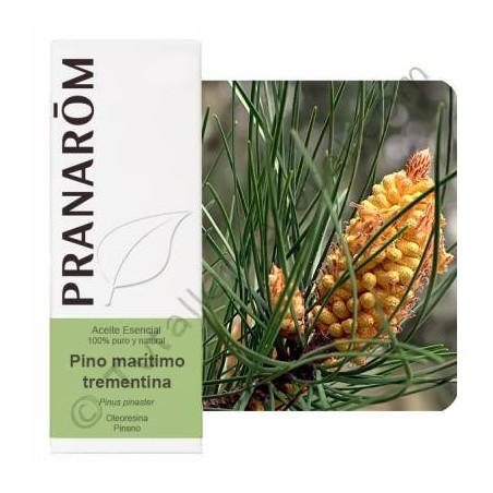 PINO MARITIMO TREMENTINA OLEORESINA 100 ML PRANAROM