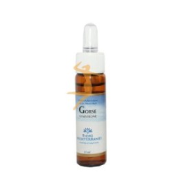 GORSE (AULAGA) 10 ML  FIORI DEL MEDITERRANEO