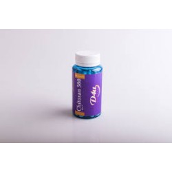 D4U CHITOSAN 500 90 CAPSULAS