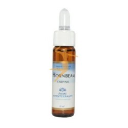 HORNBEAM (HOJARAZO) 10 ML  FIORI DEL MEDITERRANEO