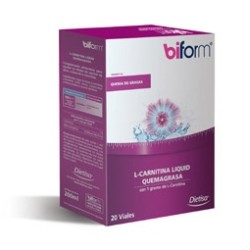 L-CARNITINA 20VIALES BIFORM
