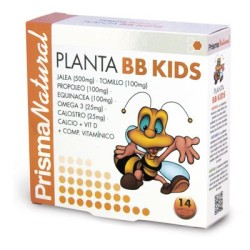 PLANTA BB KIDS 20 AMPOLLAS  10 ML PRISMA NATURAL