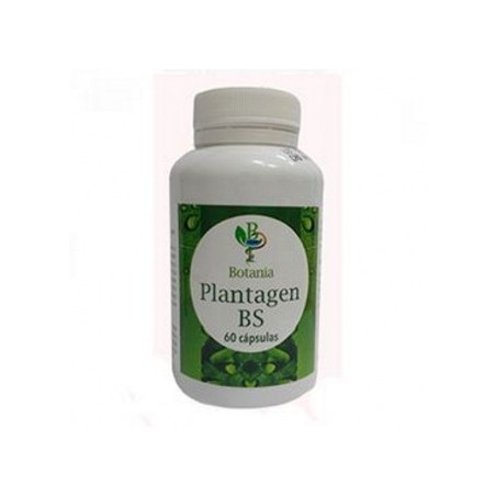PLANTAGEN BS 60 CAPSULAS  BOSWELLIA