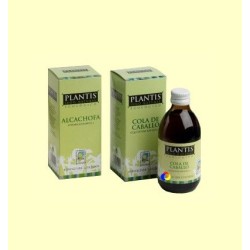 PLANTIS JUGO GINKGO ECO 250 ML