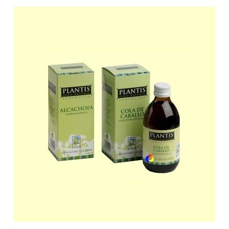 PLANTIS JUGO GINKGO ECO 250 ML