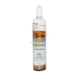 SCLERANTHUS (Escleranto) 10 ML  FIORI DEL MEDITERRANEO