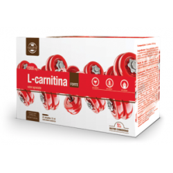 L-CARNITINA FORTE 20 AMPOLLAS
