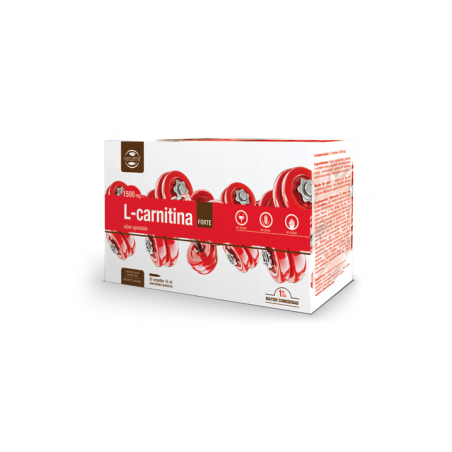L-CARNITINA FORTE 20 AMPOLLAS