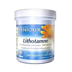 LITHOTAME 200 CAPSULAS  380 MG FENIOUX
