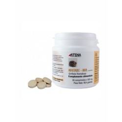 MAITAKE MRL 90 COMPRIMIDOS