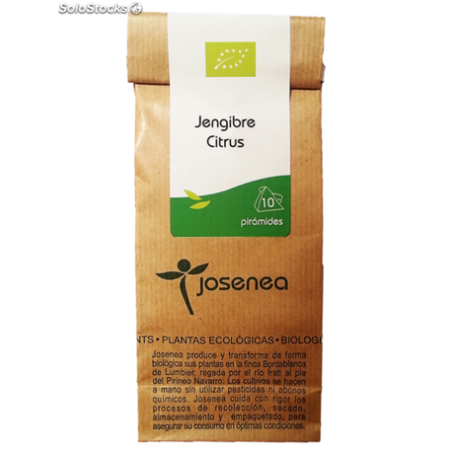 JENGIBRE CITRUS BIO 10 PIRAMIDES