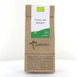 FRUTAS DEL BOSQUE BIO 10 PIRAMIDES