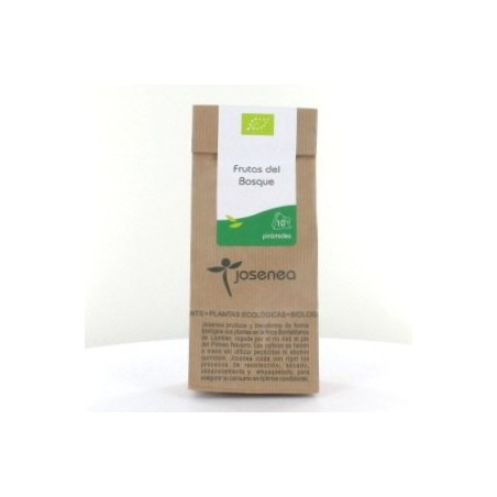 FRUTAS DEL BOSQUE BIO 10 PIRAMIDES