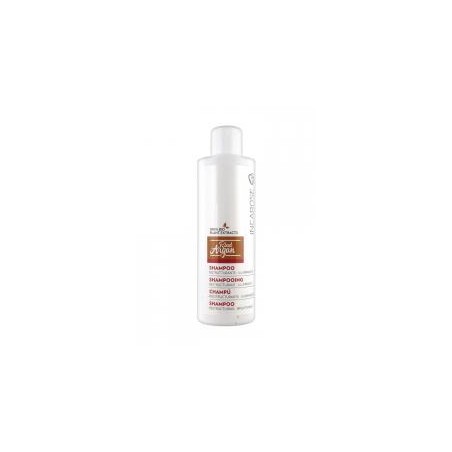 RIAD ARGAN CHAMPU
