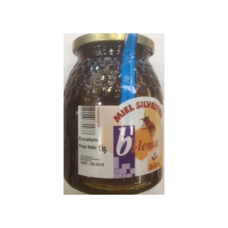 MIEL EUCALIPTO 1 KG BILEMA