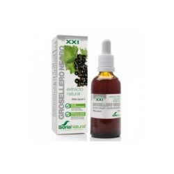 GROSELLERO NEGRO EXTRACTO S XXI  50 ML