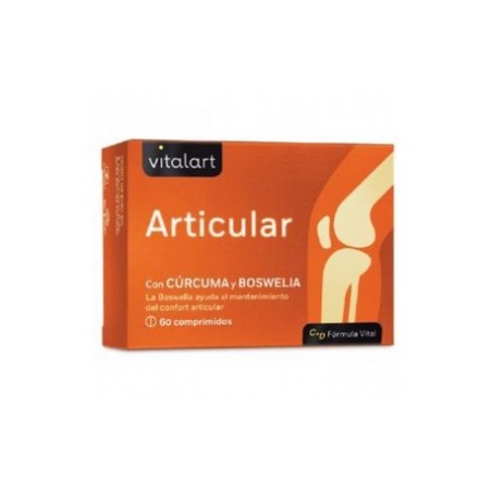 ARTICULAR 60COMP VITALART
