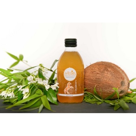 KOMBUCHA PURA VIDA 250ML VITAE