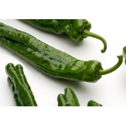 PIMIENTO VERDE RAMIRO